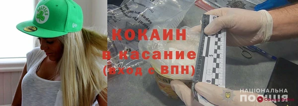 шишки Аркадак